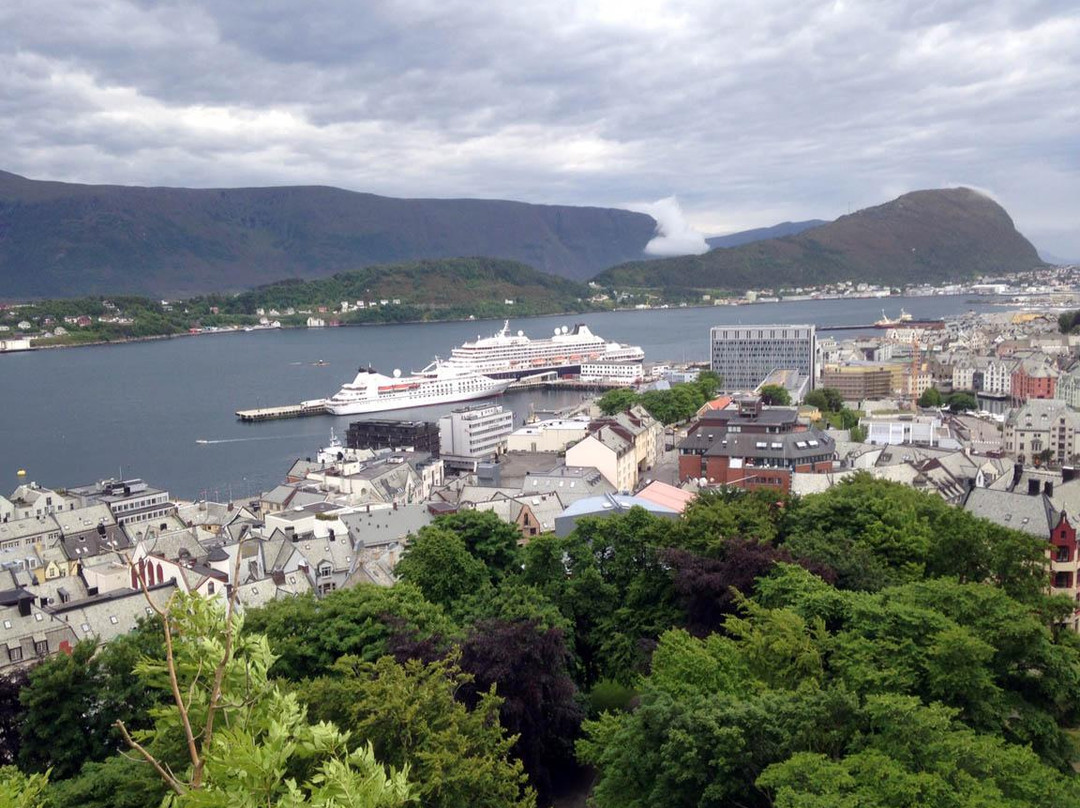 Fjellstua Viewpoint景点图片