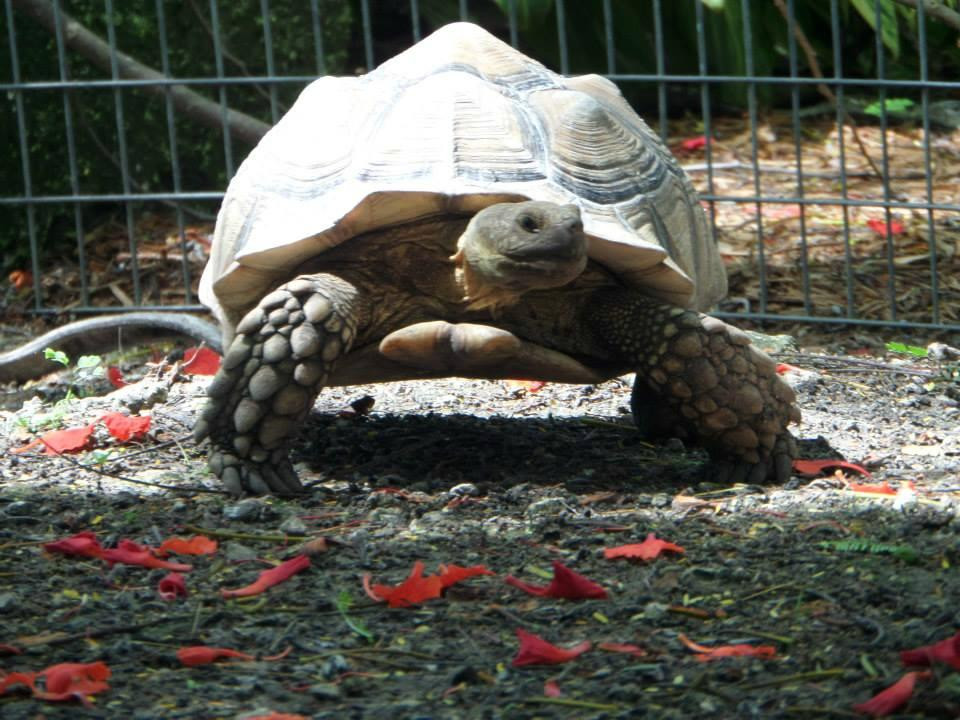 Everglades Outpost Wildlife Refuge-霍姆斯特德必去景点