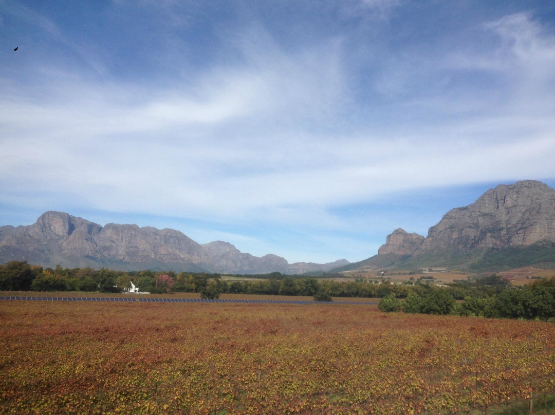 Vrede en Lust Winery-Simondium必去景点