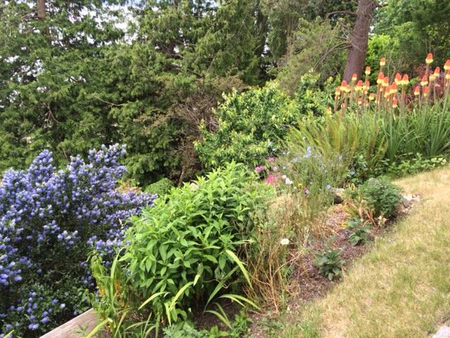 SunCatcher Oceanside B&B-酒店景观