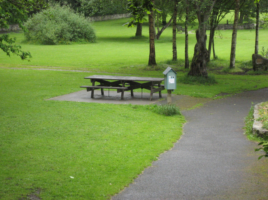 Free Wee Library-Buncrana必去景点