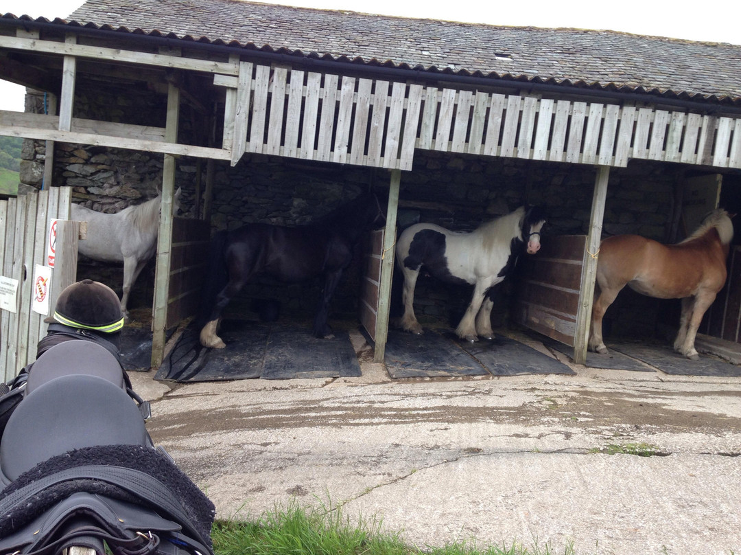 Lakeland Pony Trek-温德米尔必去景点