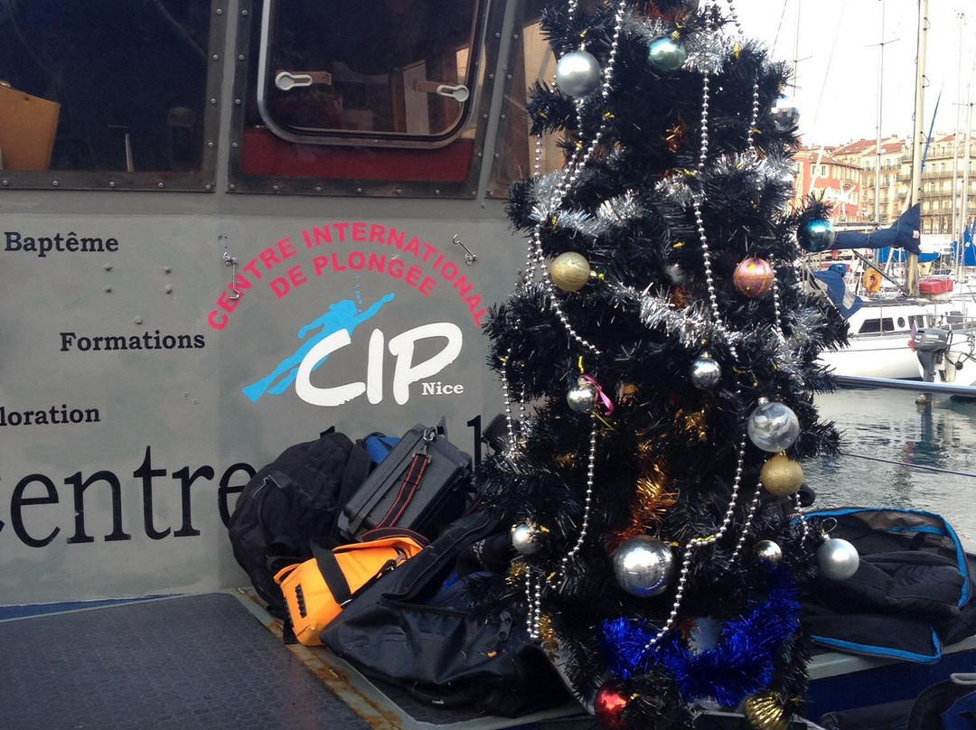 C.I.P de Nice (Centre International de Plongée)-尼斯必去景点