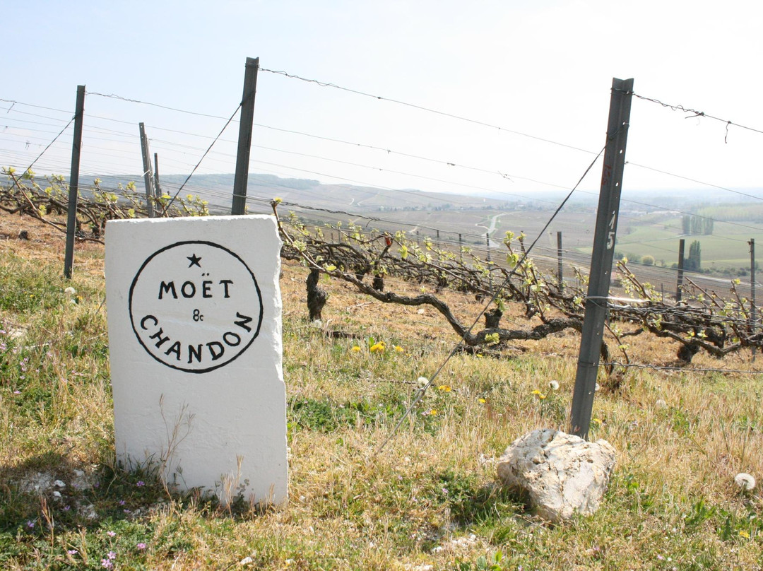 Bike About自行车之旅-巴黎必去景点