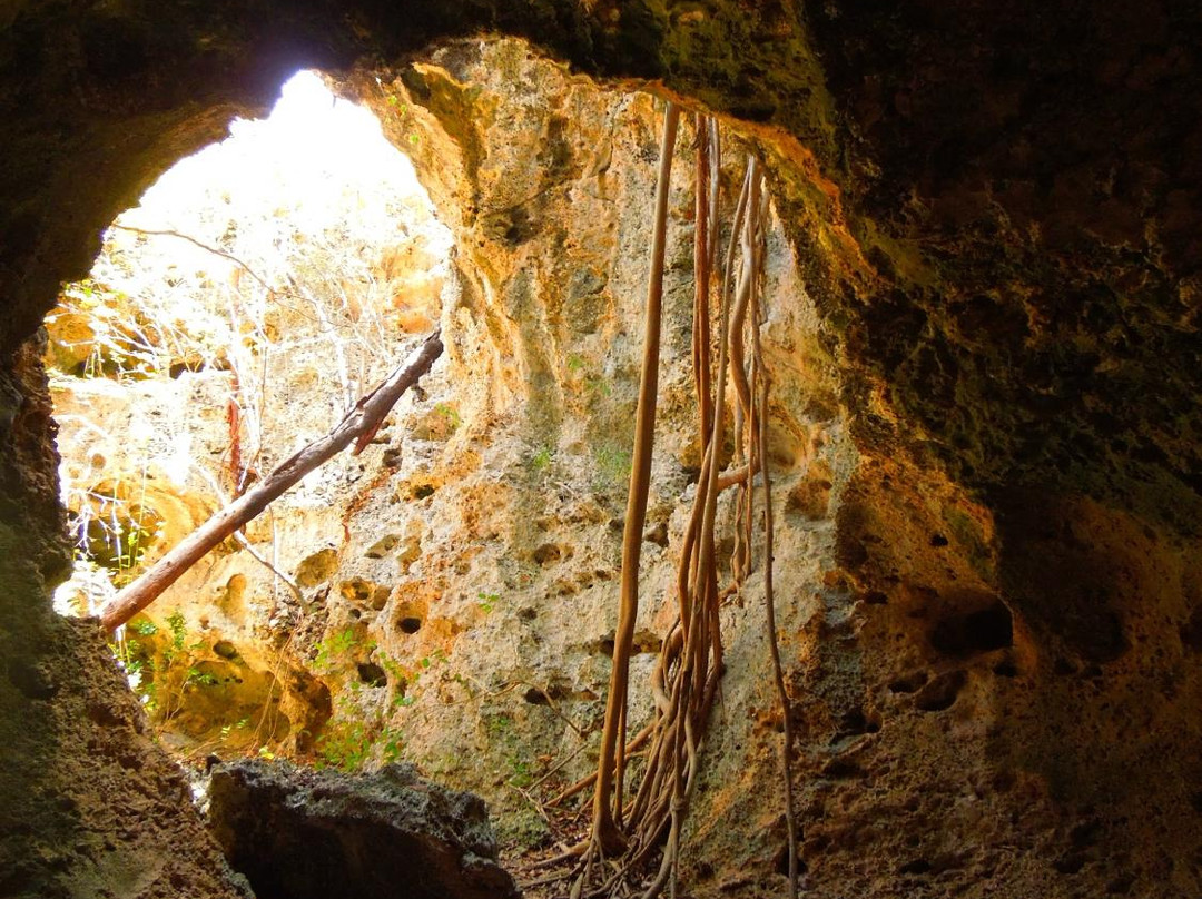 The Bat's Cave-Cayman Brac必去景点