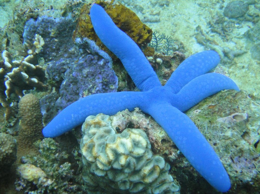 Boracay Island Divers-长滩岛必去景点