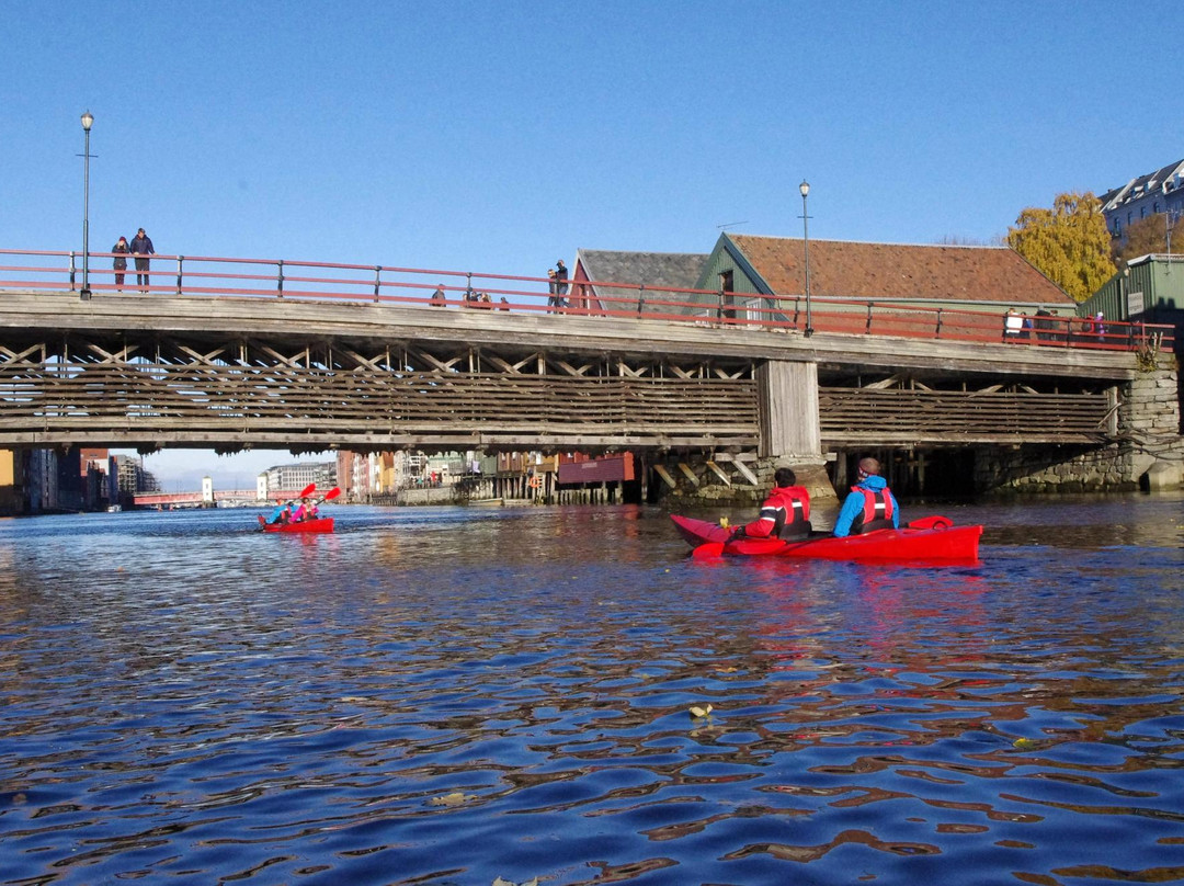 Trondheim Kajakk景点图片