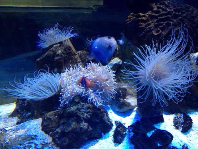 富国海底世界-北京市必去景点