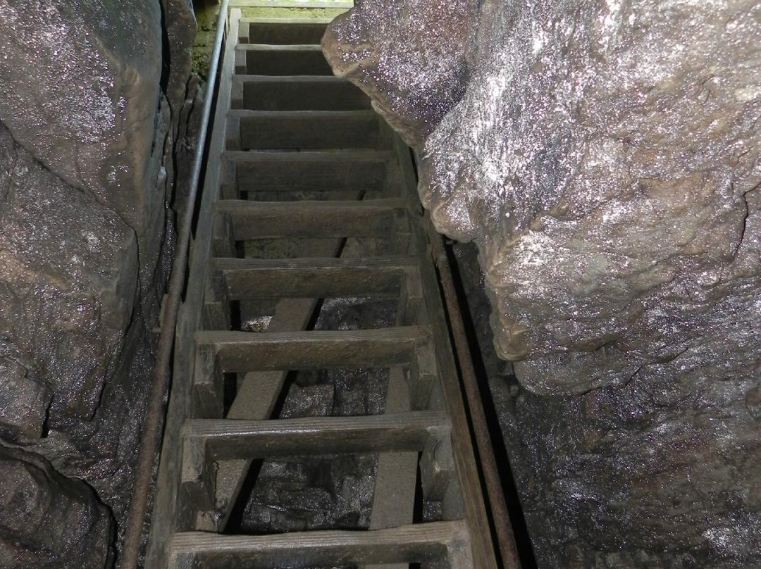 Ledge View Nature Center-Chilton必去景点