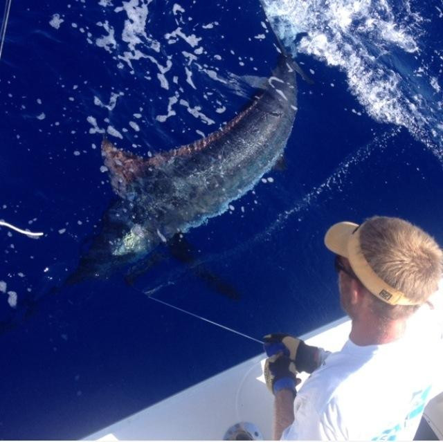 Nemesis Sport Fishing-埃里埃利必去景点