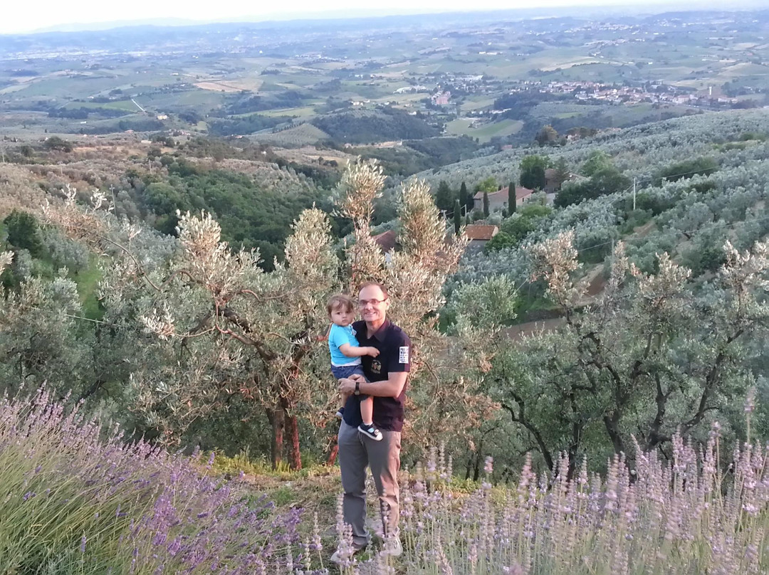 Il Fienile di Vinci主图