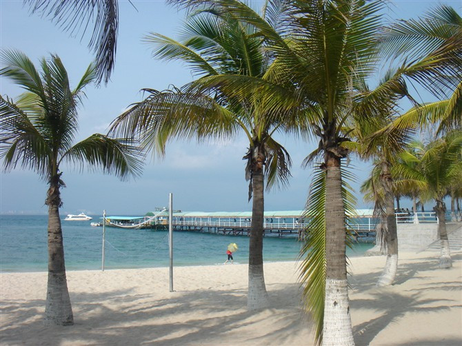 海口滨海大道-海口市必去景点
