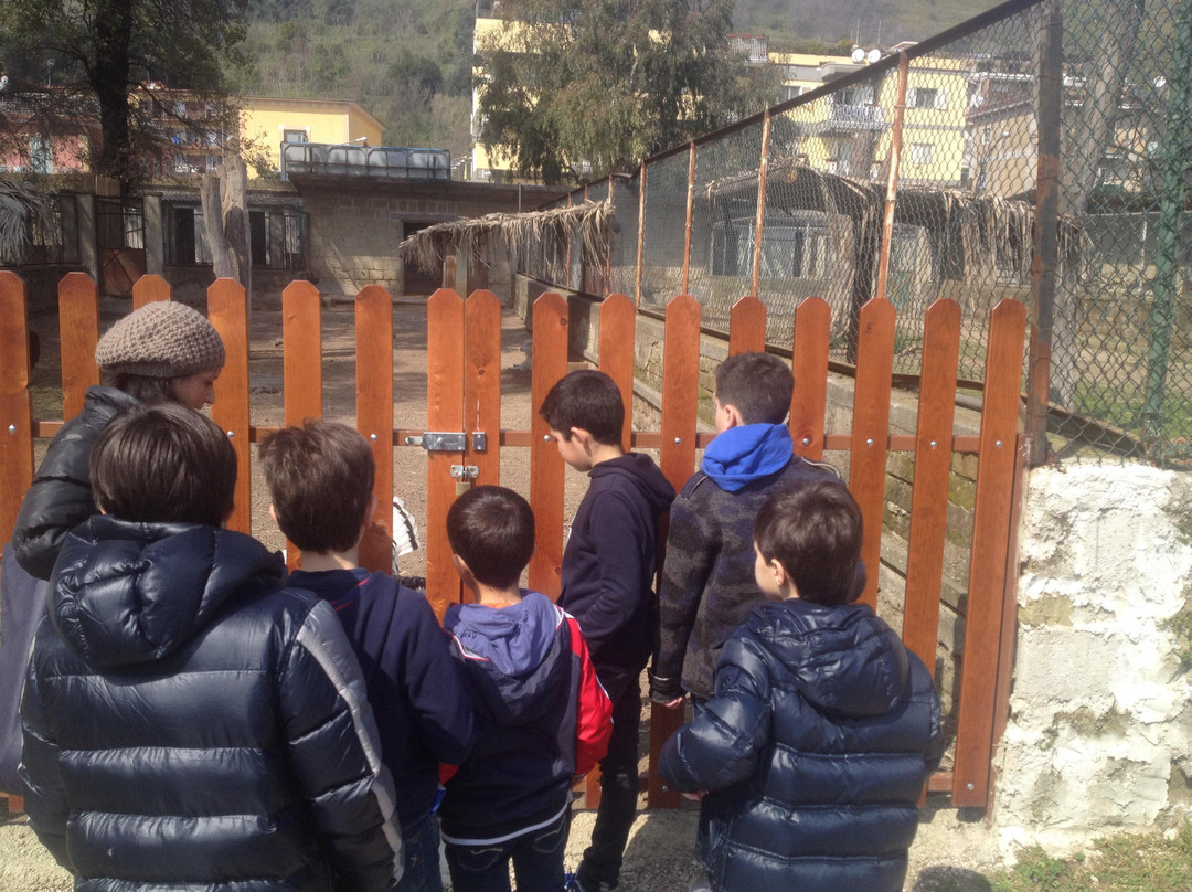 Lo Zoo di Napoli-那不勒斯必去景点