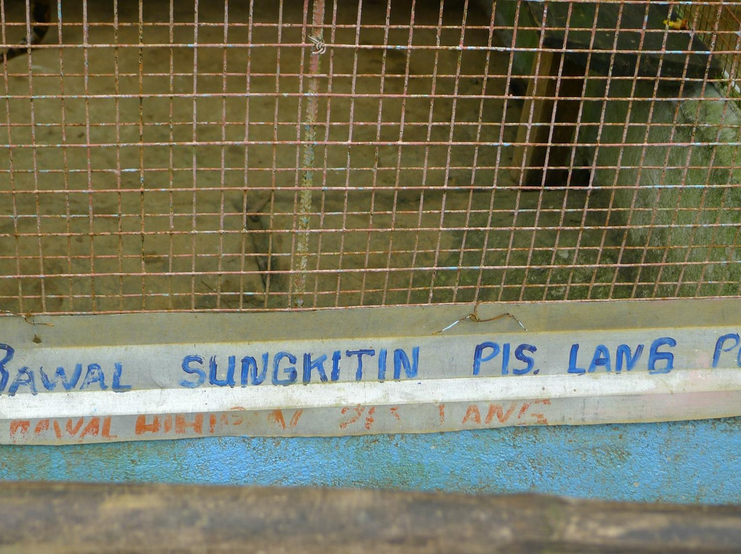 Santa Victoria Caves-Tuguegarao City必去景点