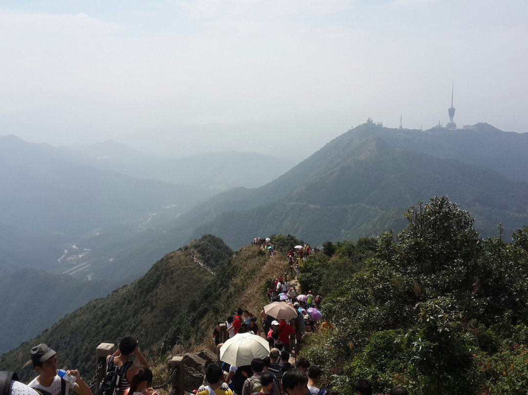 梧桐山景点图片