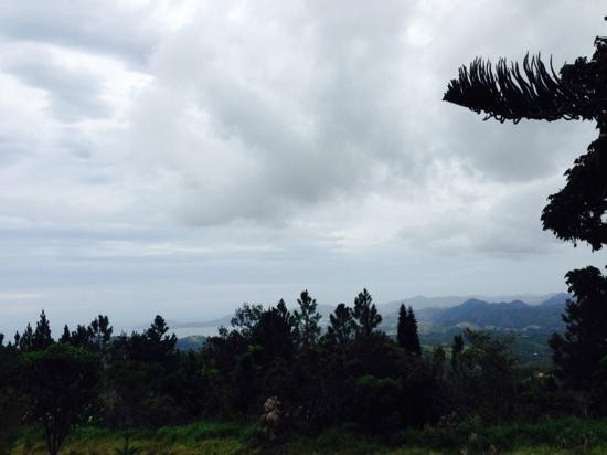 Koghi Parc Aventure-Dumbea必去景点