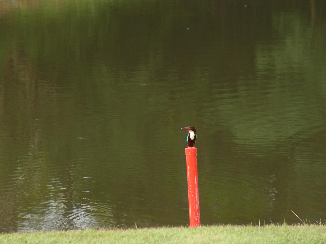 槟城高尔夫渡假村-Kepala Batas必去景点