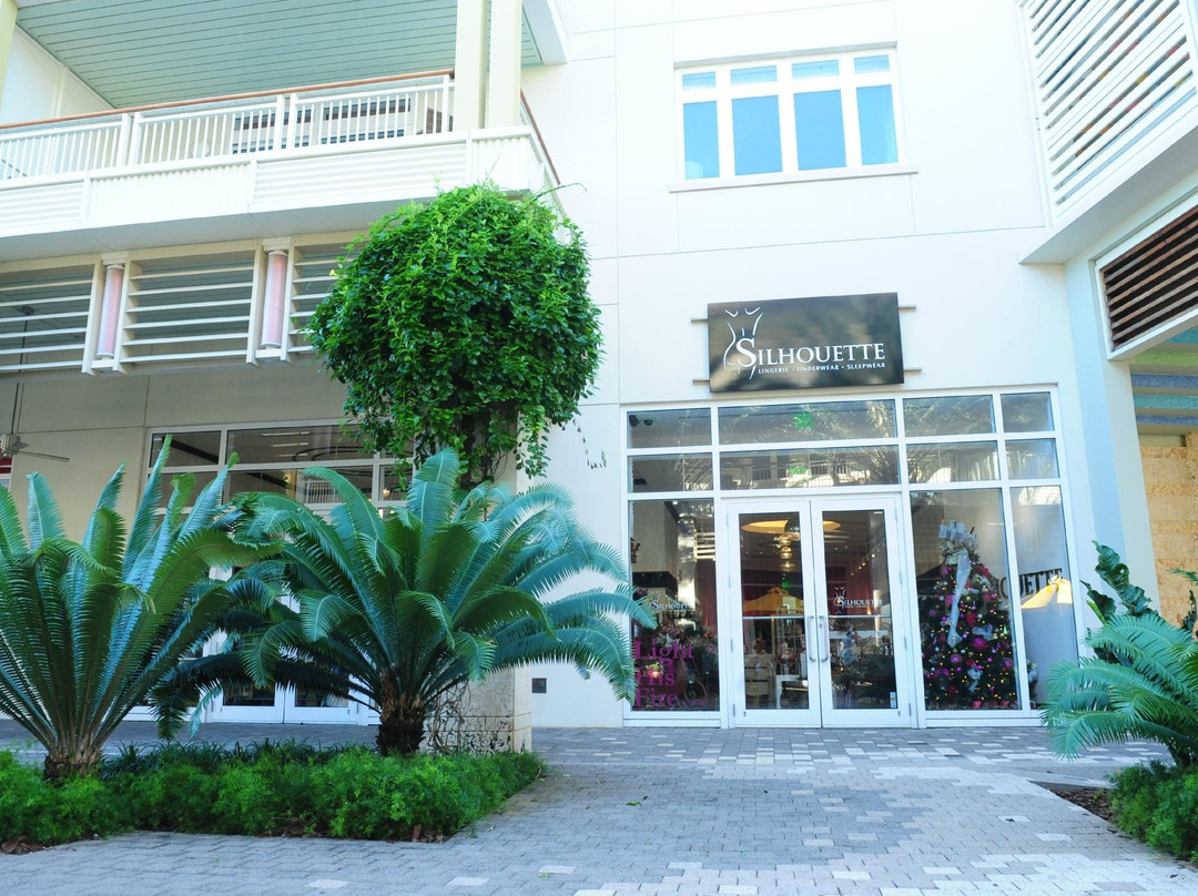 Silhouette-大开曼岛必去景点