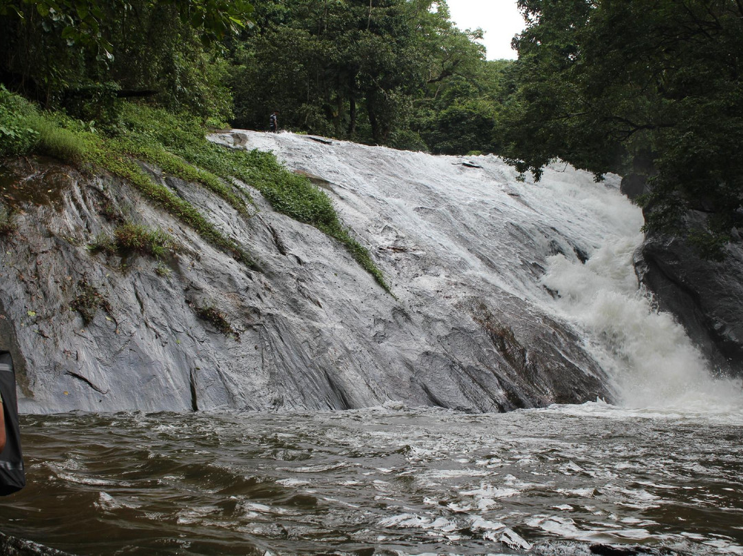Dhoni Waterfalls-Palakkad必去景点