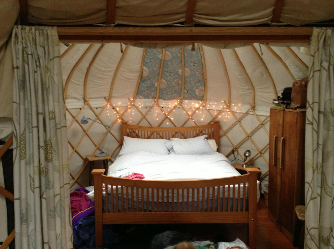 Offas Dyke Yurts