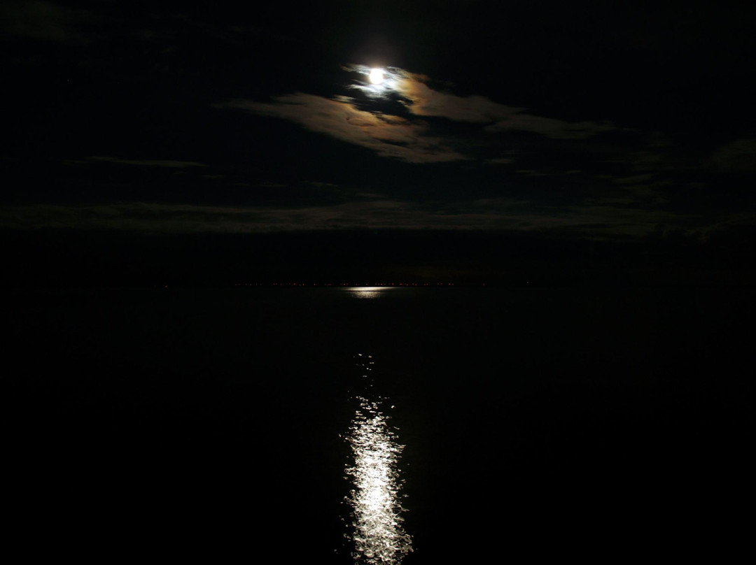 Freighters View on the Bay主图