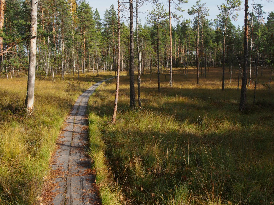 Helvetinjärvi National Park景点图片