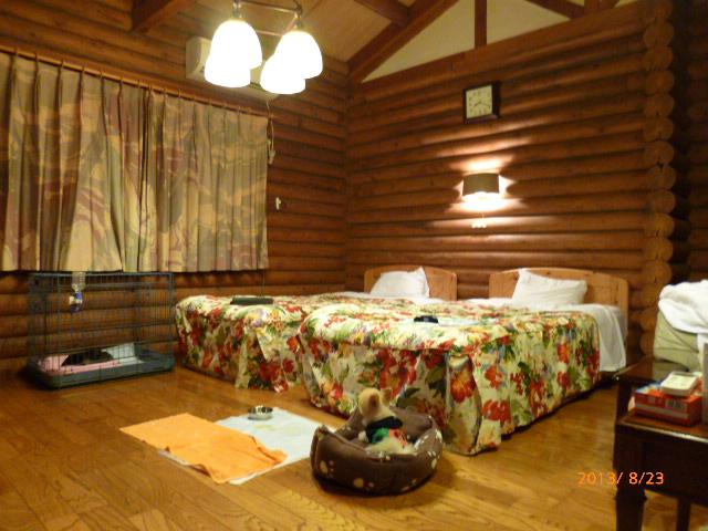 Hotel Cottages Shirakawa Seki no Sato-客卧
