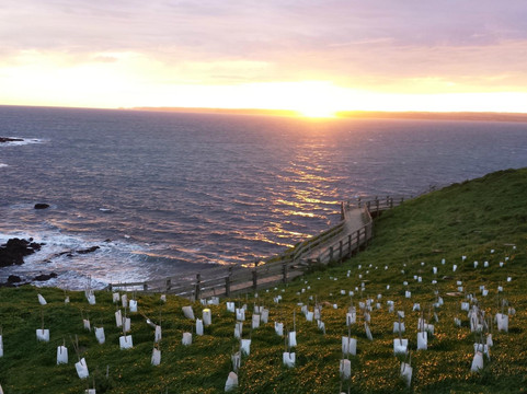 西行航线-墨尔本必去景点