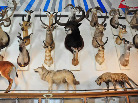 狩猎博物馆-巴黎必去景点
