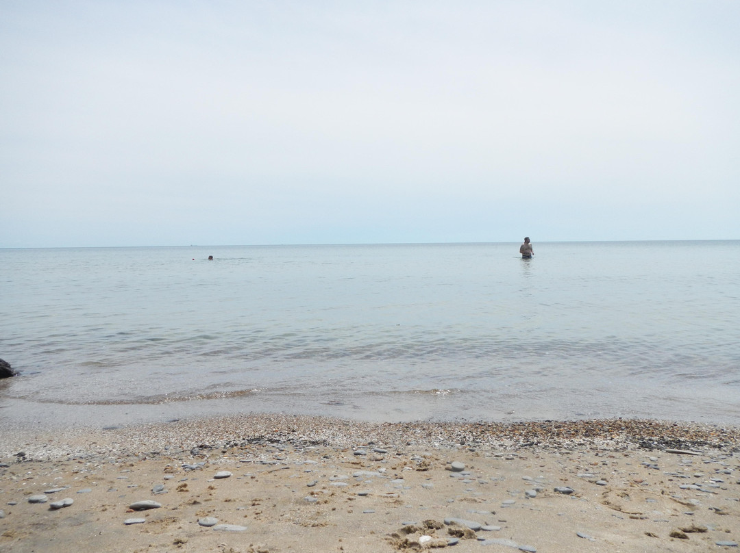 Big Sandy Bay Conservation Area景点图片