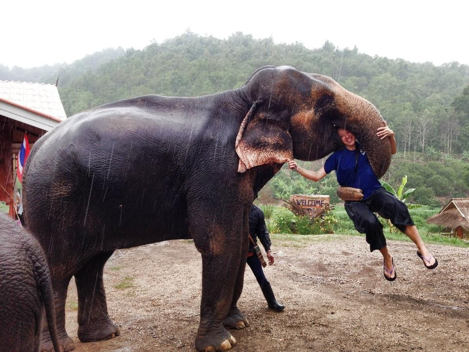 Baanchang Elephant's Paradise-夜登必去景点