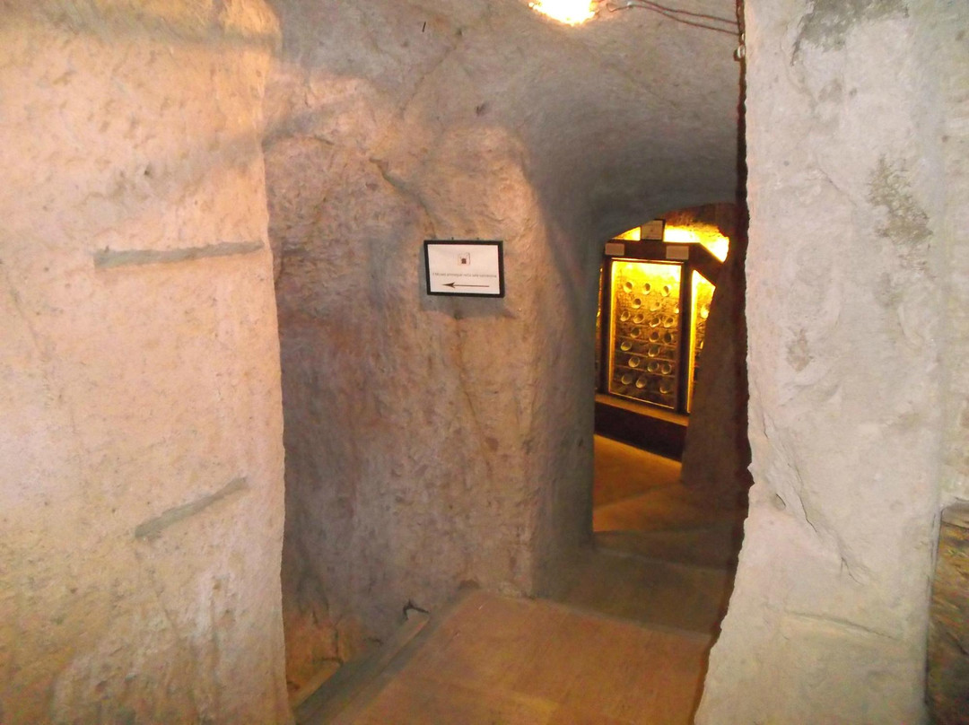Rocca Ripesena旅游景点-Museo Delle Maioliche Medievali e Rinascimentali Orvietane