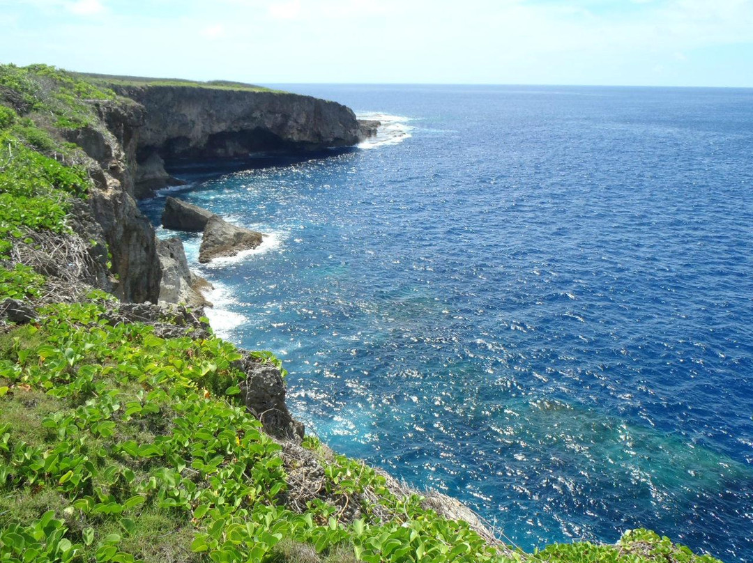 Grotto Snorkeling Sightseeing Day Tours - Sea Lovers景点图片