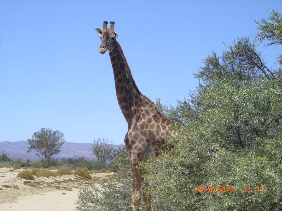 Ronel Cooper Day Tours-鱼角必去景点