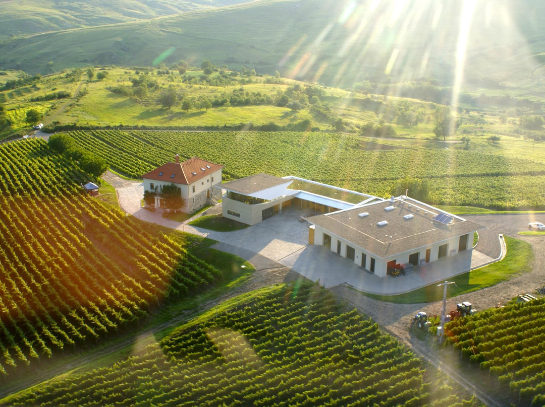 LacertA Winery景点图片