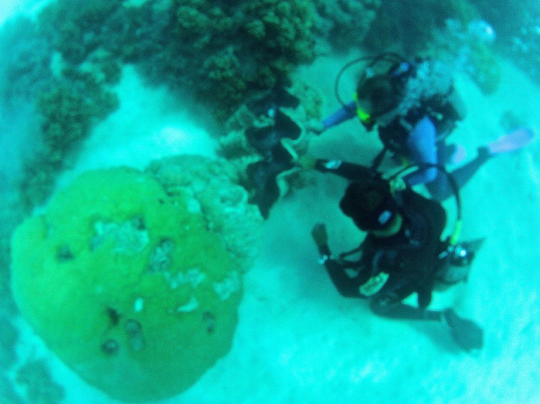 麦克拉斯沙岛-凯恩斯必去景点