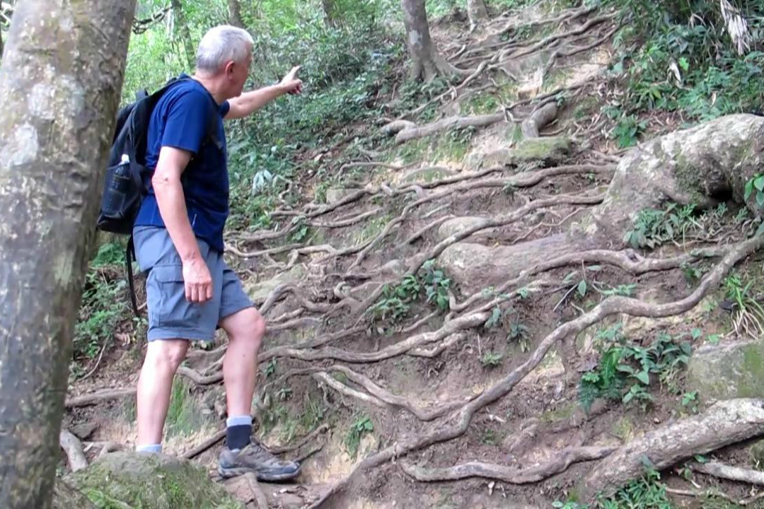 五指山卧龙山-五指山市必去景点