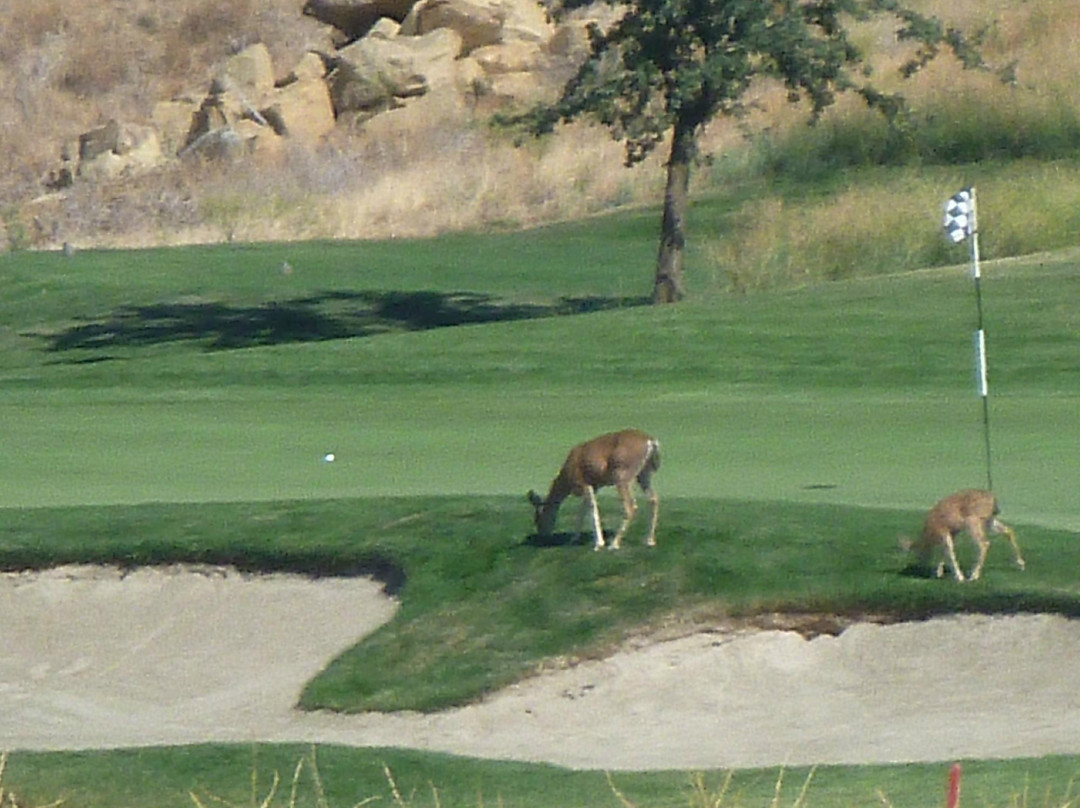 Grande Diablo Golf & Country Club-Patterson必去景点