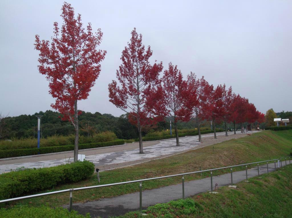 Okazaki Chuo Sogo Park-冈崎市必去景点