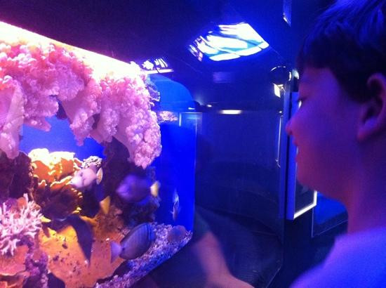 Coral Beach Nature Reserve-埃拉特必去景点