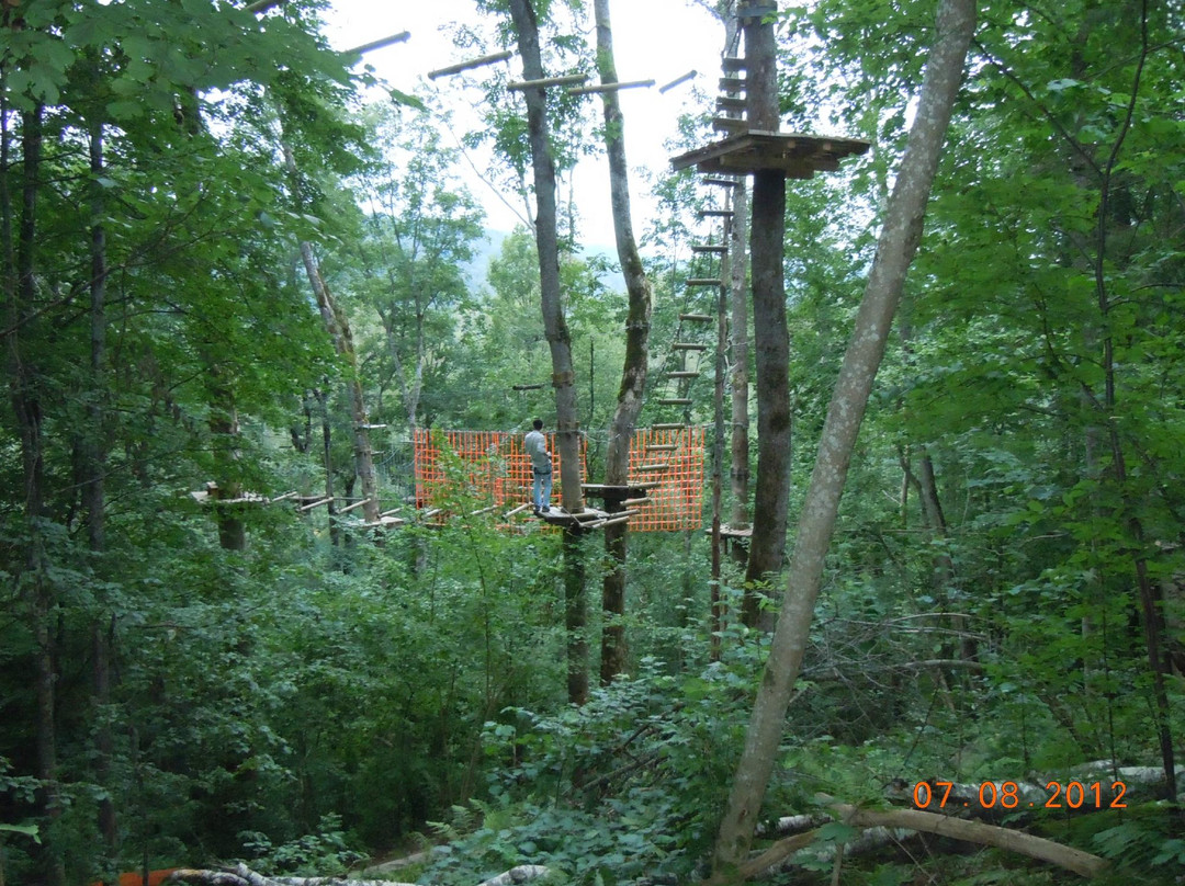Mezakakis Adventure Park-锡古尔达必去景点