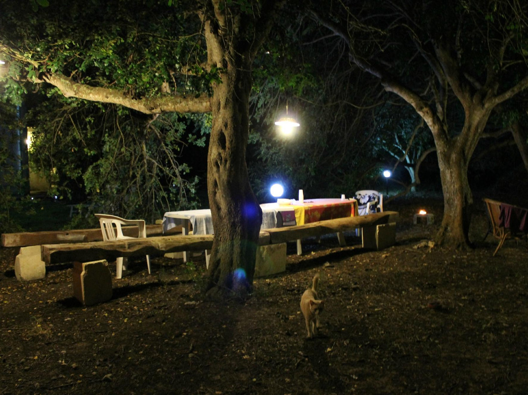 B&B Persichella主图