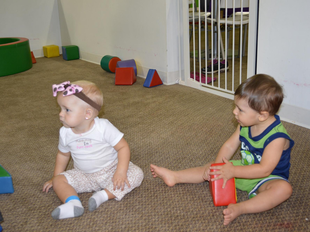 Wallabies-约翰逊城必去景点