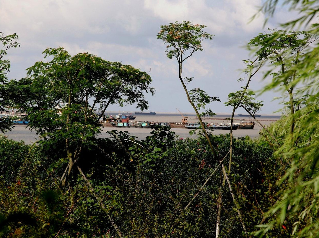吴淞口炮台湾湿地森林公园-上海市必去景点