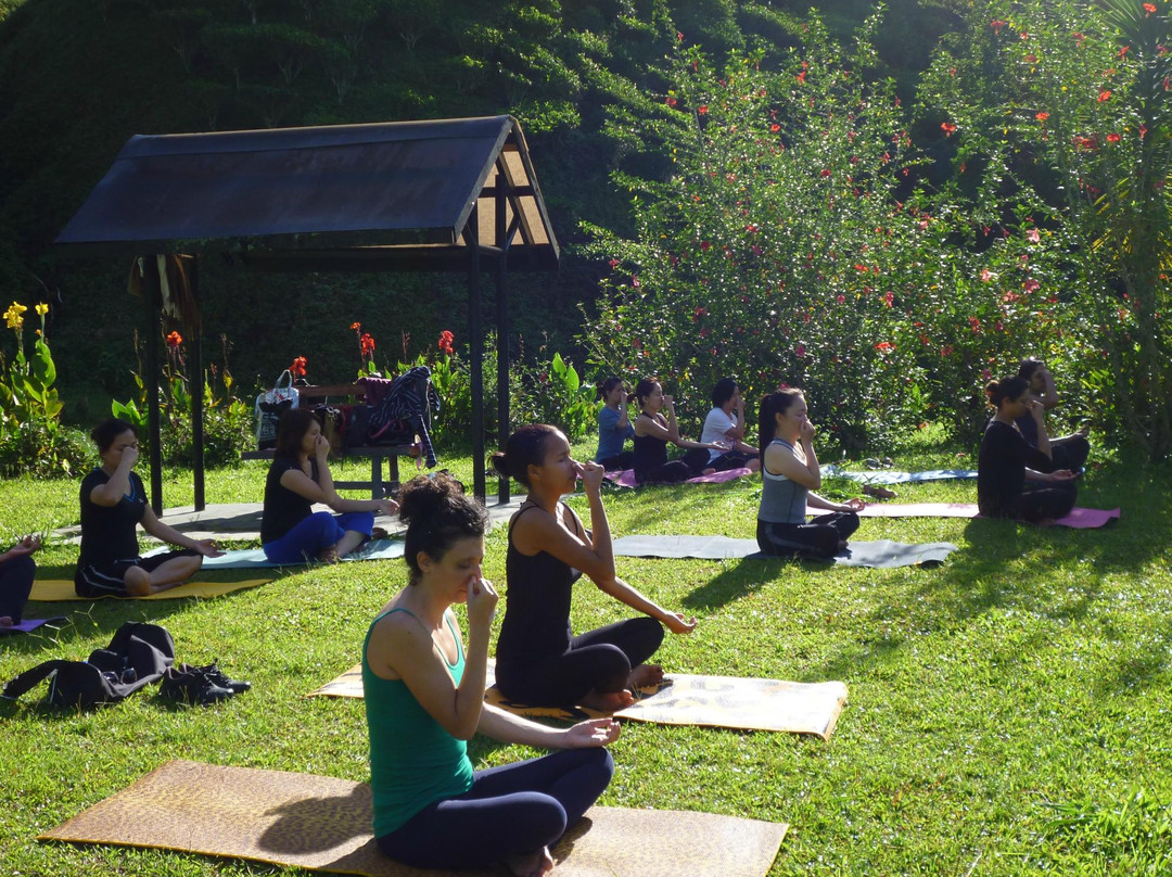 The Yoga Studio-碧兰璋必去景点