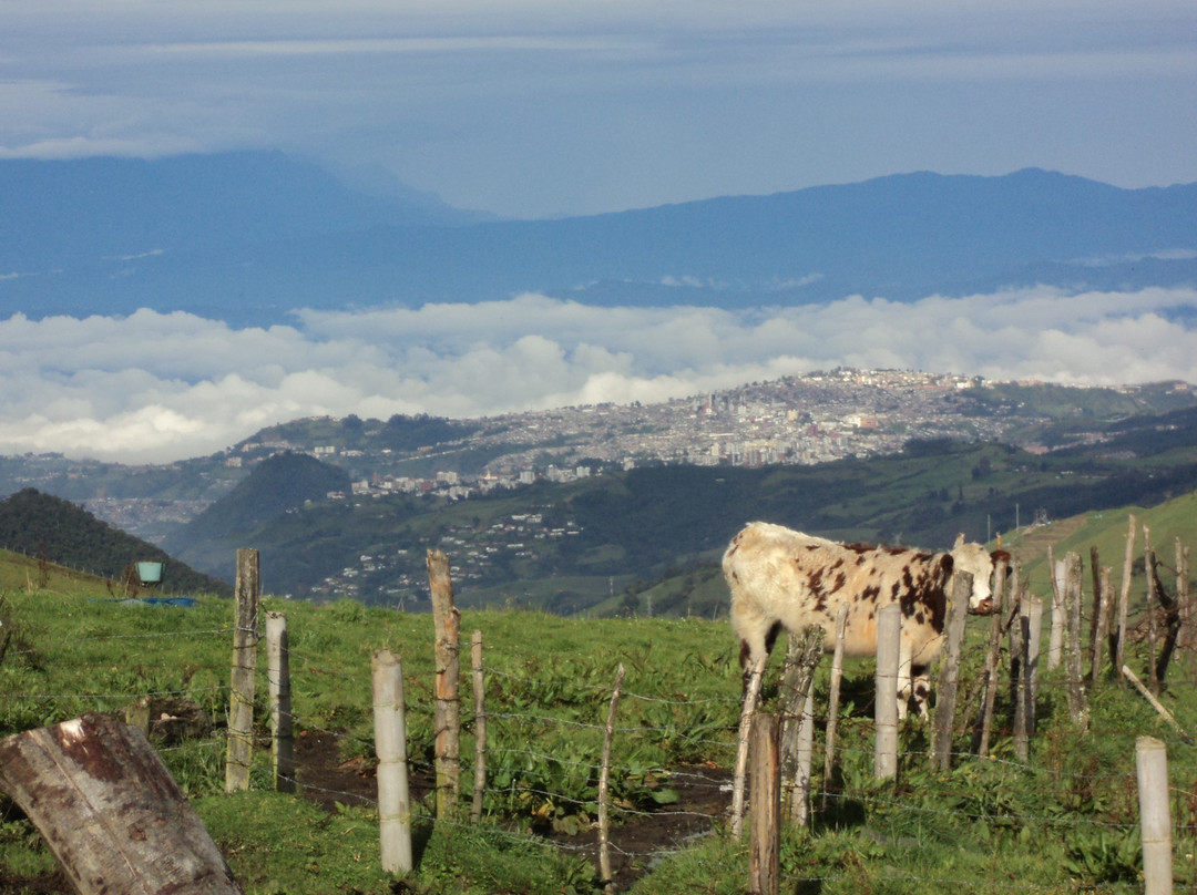 Nevado Del Ruiz-Manizales必去景点