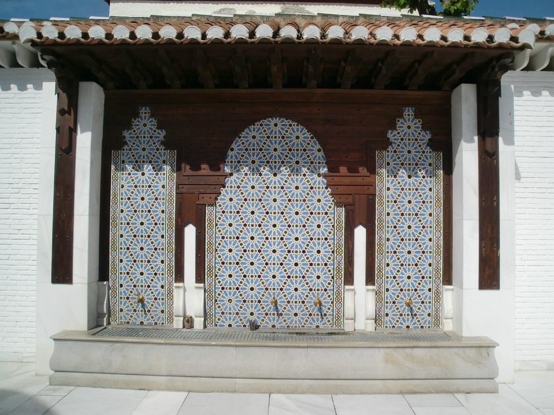 Mezquita Mayor de Granada景点图片