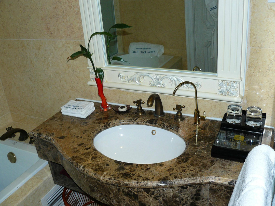 威尼斯假日大酒店主图