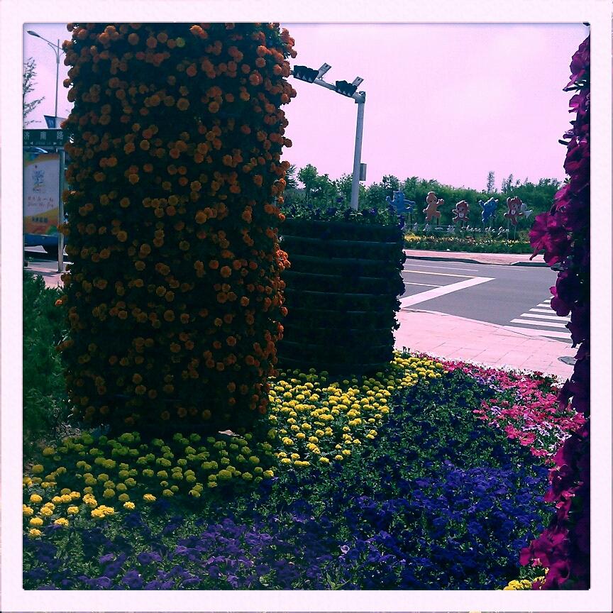 曦岛游艇会-客卧