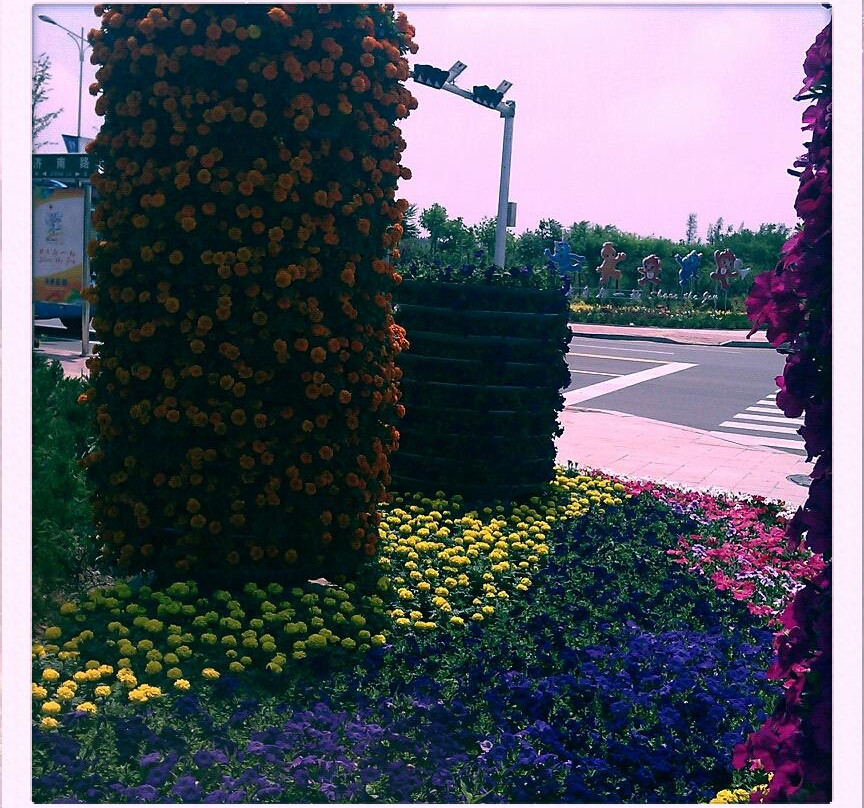 曦岛游艇会主图